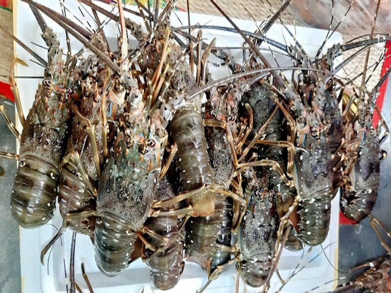 Mơ thấy mình đang ăn tôm
